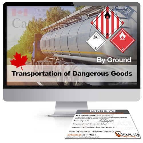 TDG Online Training Course